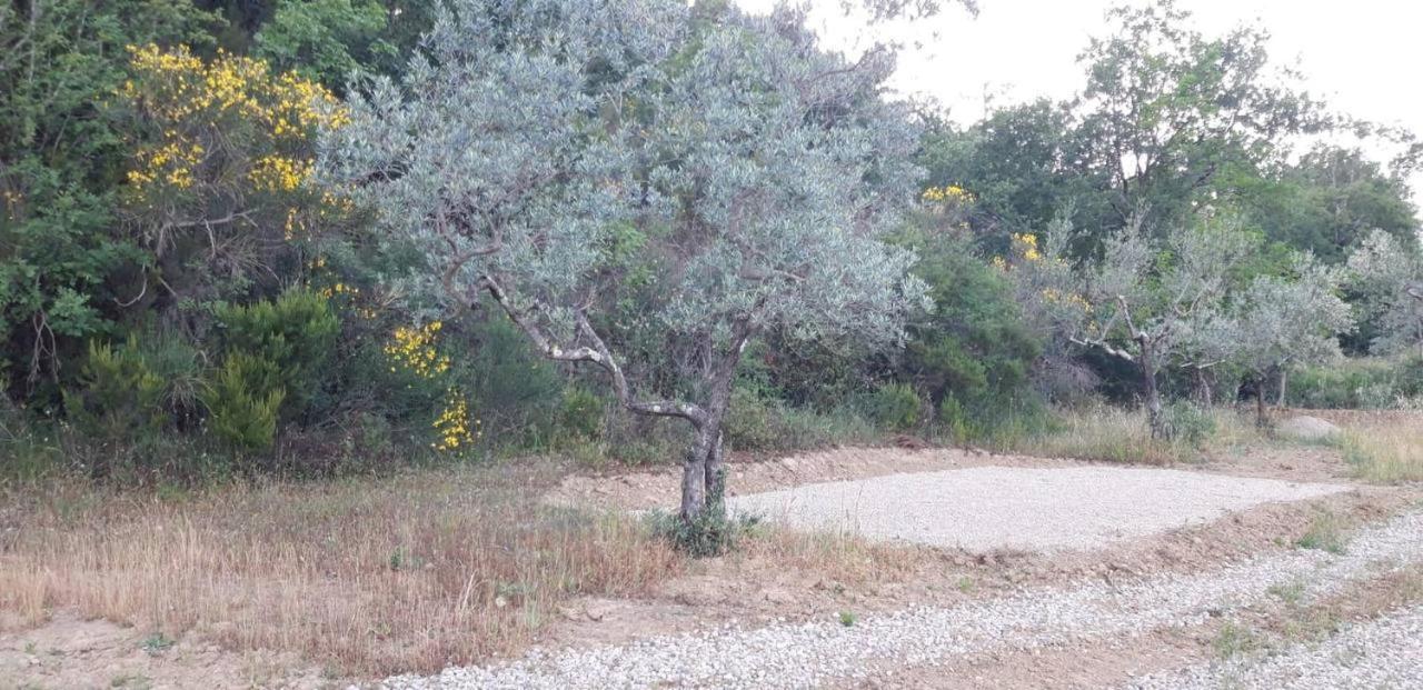 Agricampeggio Borgo Agna San Giustino Valdarno Exterior foto
